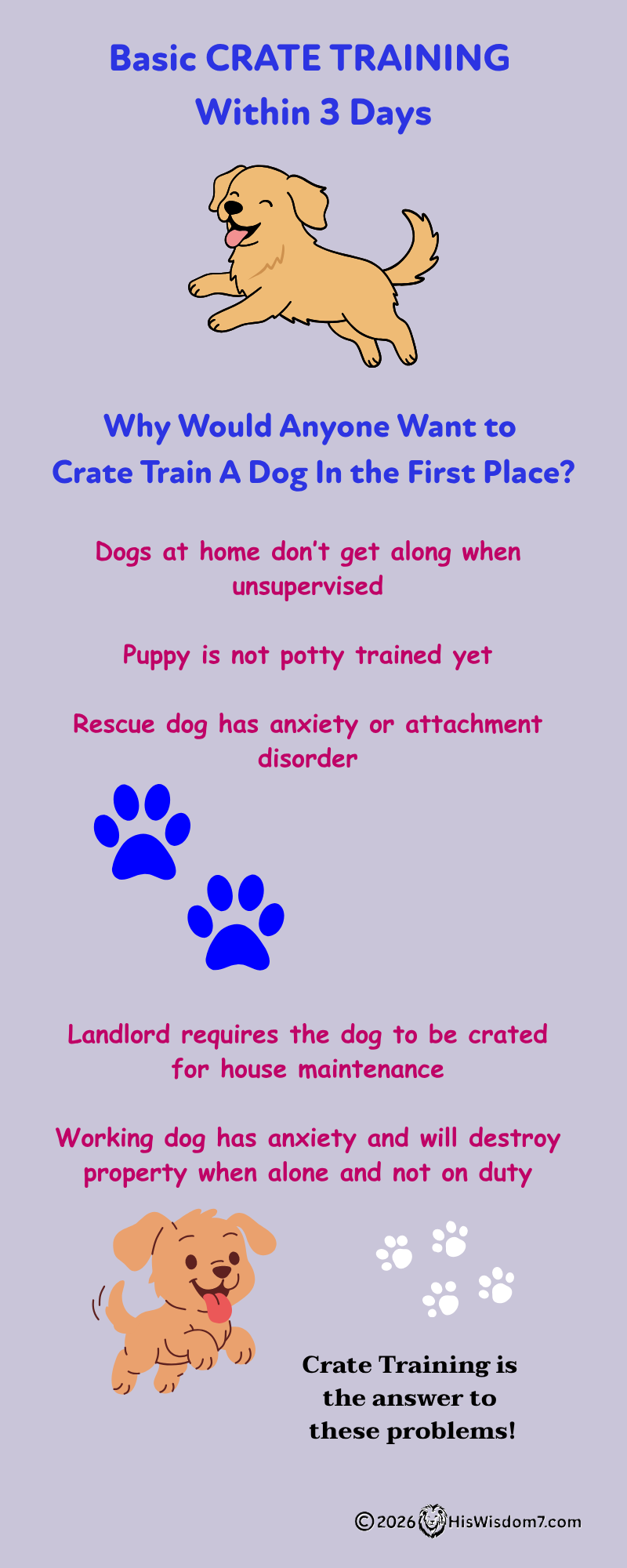 Crate Training for Dogs