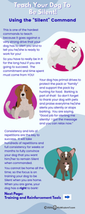 Teach Your Dog to Be Silent
