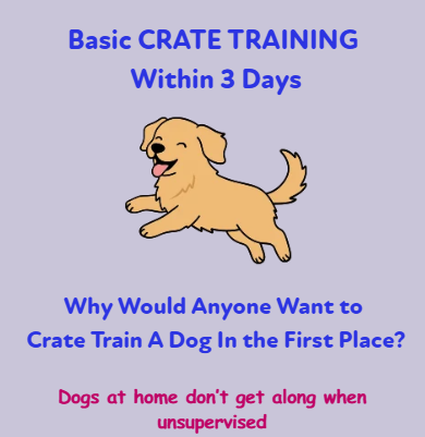 Crate Training for Dogs